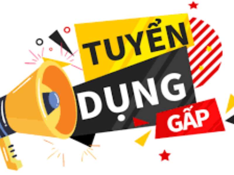 LS ELECTRIC Việt Nam tuyển dụng