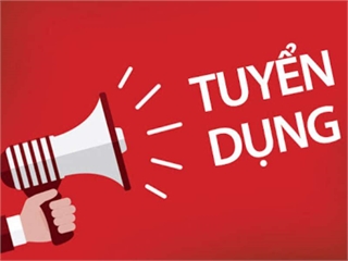 Công ty TNHH DENSO Việt Nam thông báo tuyển dụng