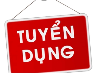 Viettel Networks thông báo tuyển dụng