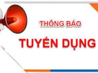 Công ty Thiết bị điện Miền Bắc (NTE GROUP) thông báo tuyển dụng