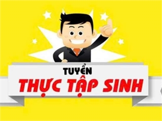 Thông báo chương trình thực tập Dolphin Technology – Internship Program 2026