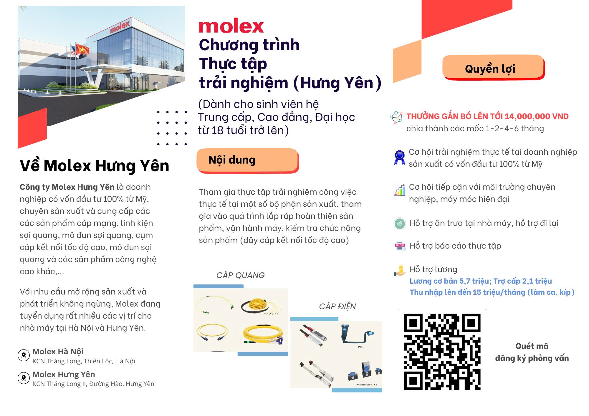 Chương trình thực tập trải nghiệm tại Molex Việt Nam