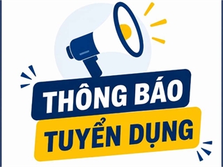 Newtecons tuyển dụng nhiều vị trí việc làm tháng 6/2026